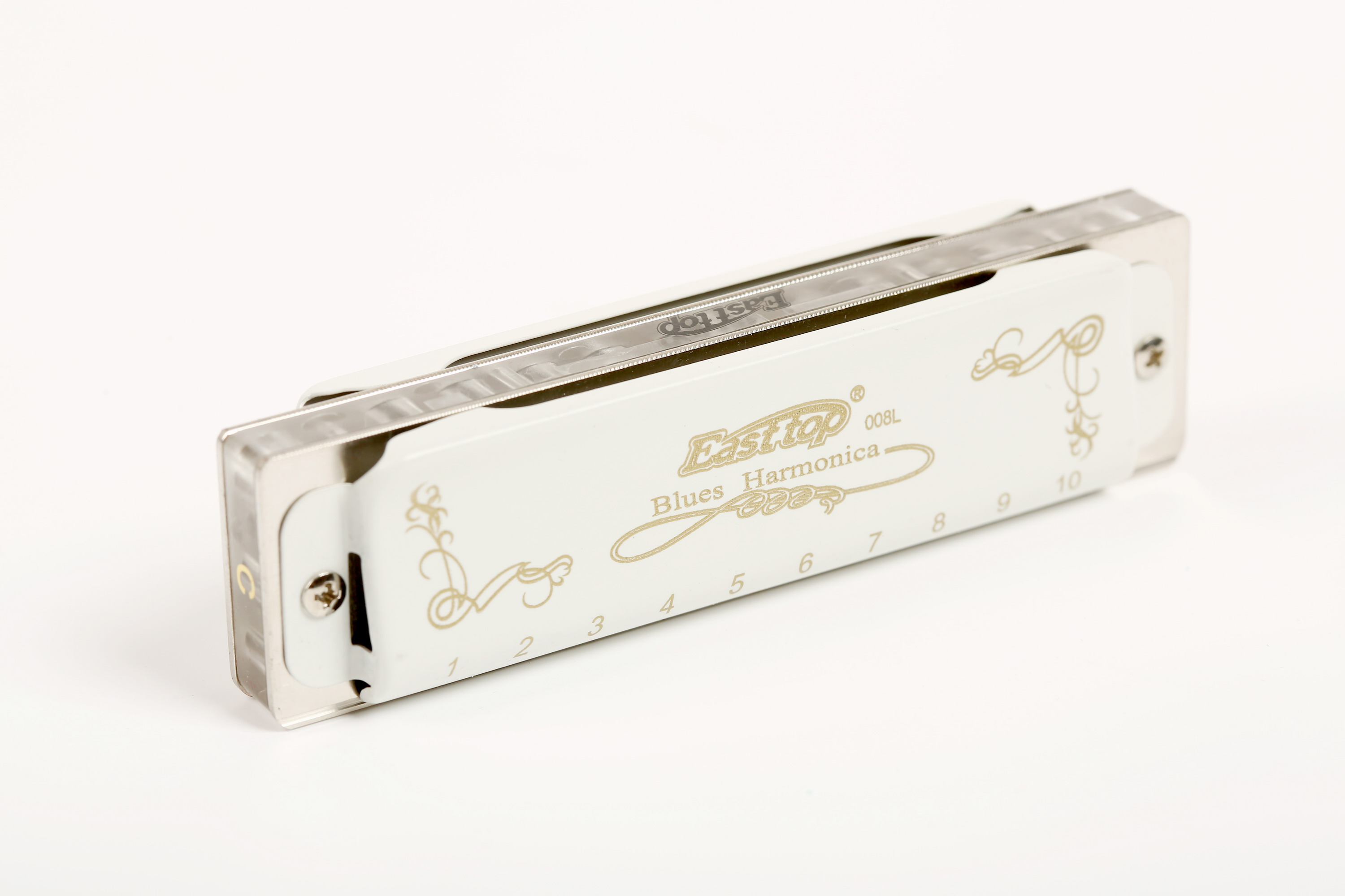 초보자, 연주자, 선물용 전문 블루스 디오닉 하모니카, - Harmonica 10 Hole 리뷰 및 가격